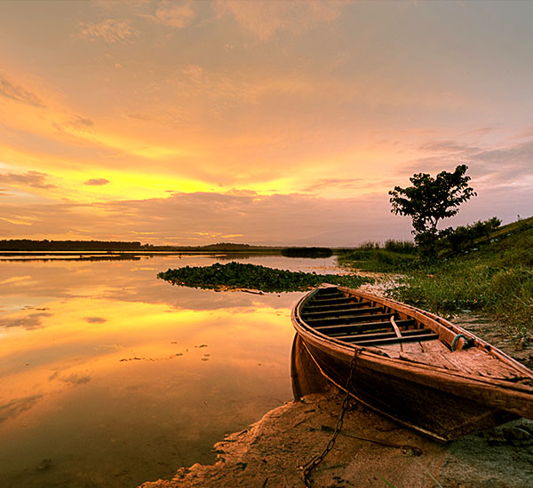 Dooars Wildlife Safari